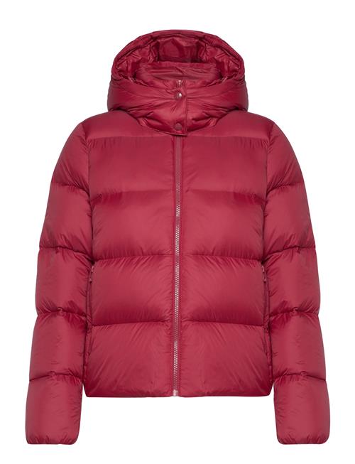 Mw Down Short Puffer Calvin Klein Jeans Pink