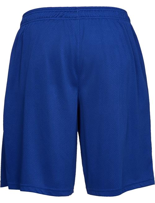 Ua Tech Mesh Shorts Under Armour Blue