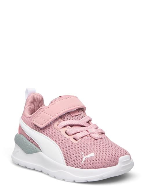 Anzarun Lite Ac Inf PUMA Pink