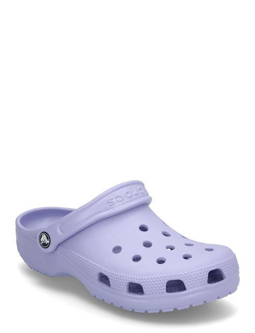 Classic Crocs Purple