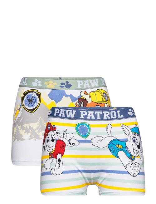 Boxer Paw Patrol Patterned