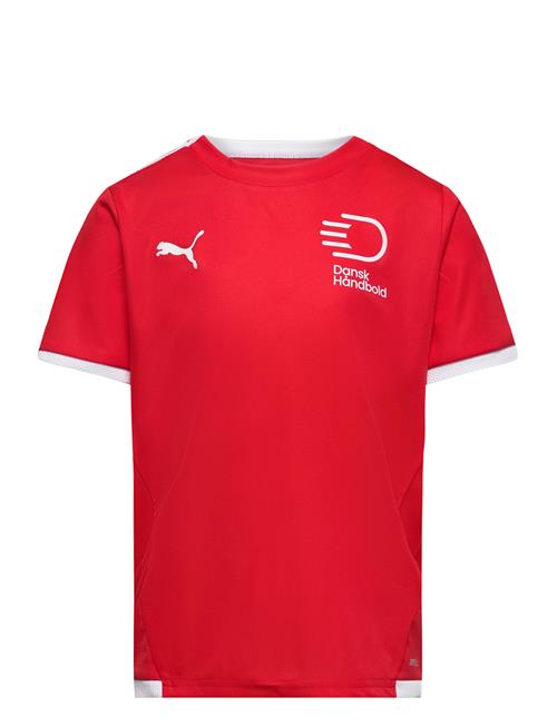 Se Teamliga Jersey Jr PUMA Red ved Booztlet