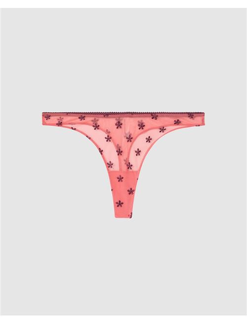 Lace Satin Thong Understatement Underwear Coral