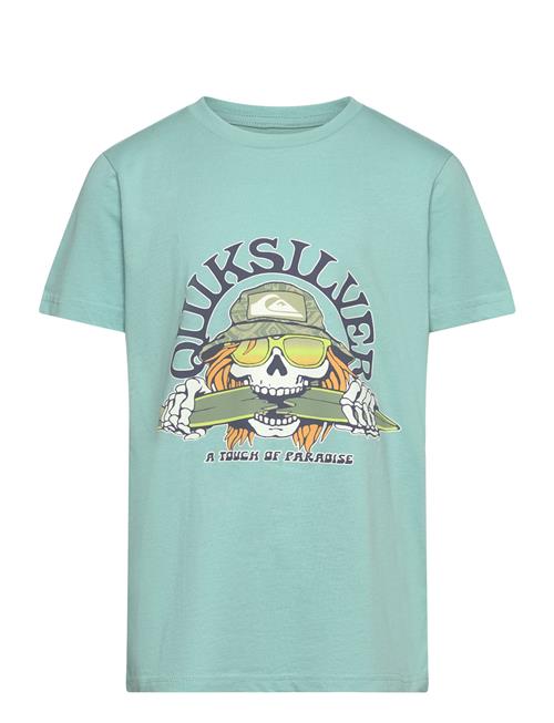 Ev Skull Feast Ss Yth Quiksilver Blue