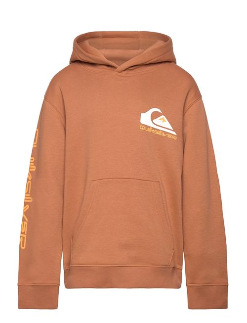 Quiksilver Omni Logo Hoodie Youth Quiksilver Brown