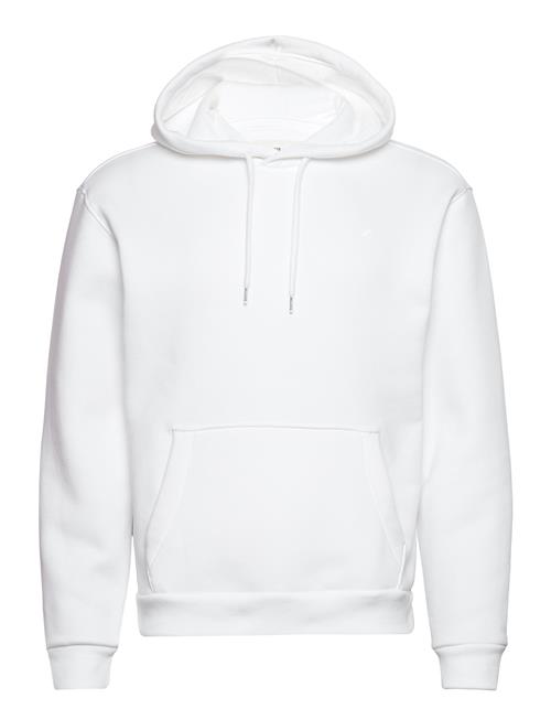 Hco. Guys Sweatshirts Hollister White