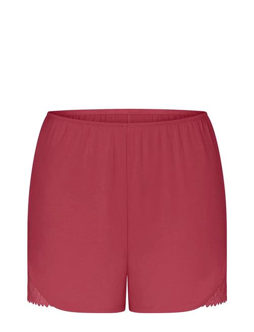 Aura Spotlight Shorts Triumph Red