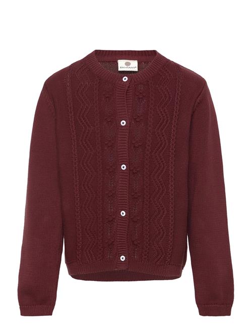 Cardigan Knit En Fant Burgundy