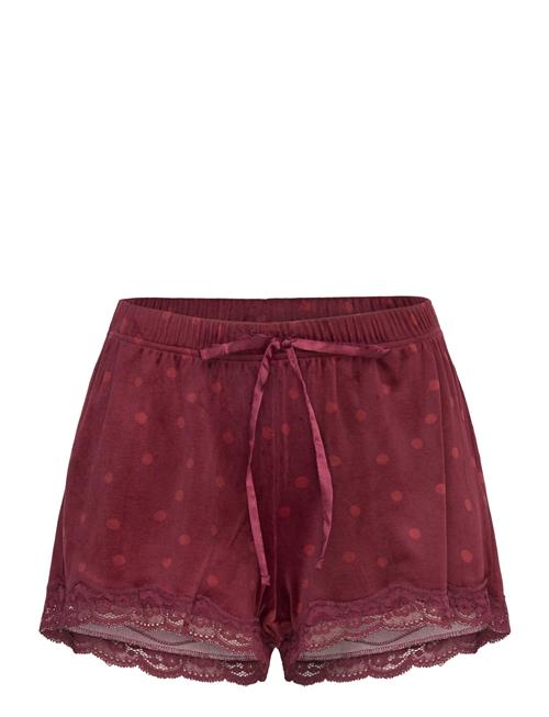 Hunkemöller Velvet Lace Shorts Hunkemöller Burgundy