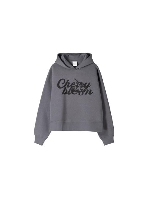 Bershka Sweatshirt  mørkegrå / sort