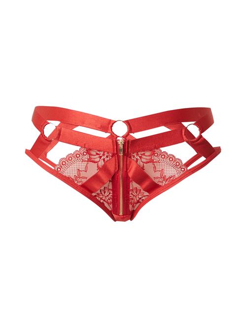 Hunkemöller Panty 'CLEMENTINE'  mørkerød