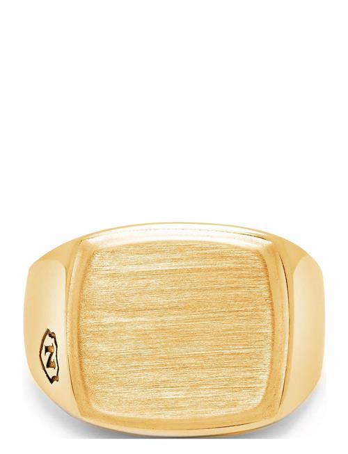 Men's Gold Signet Ring With Brushed Steel Nialaya Gold