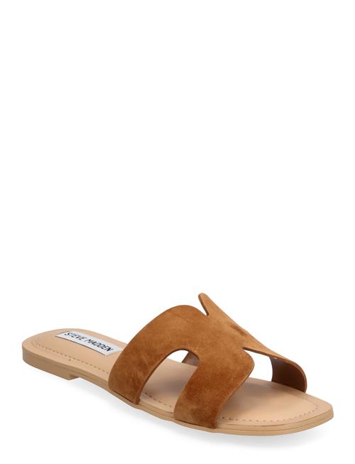 Zarnia Sandal Steve Madden Brown