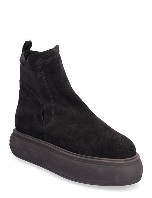 Hagar Bootie Steve Madden Black