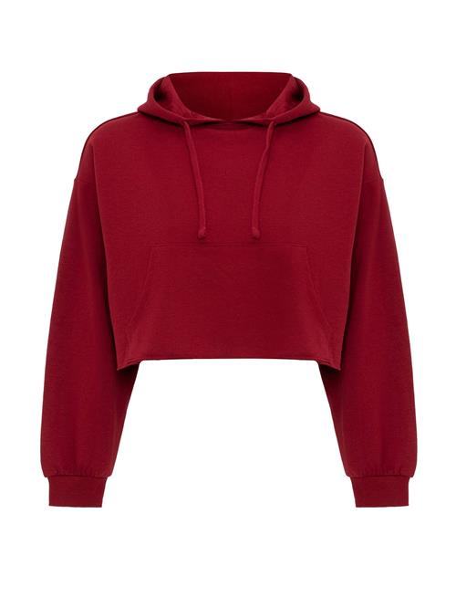 Se Jacey Quinn Sweatshirt 'Heide'  bordeaux ved About You