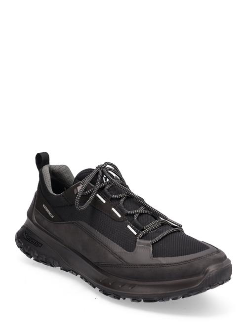 Ult-Trn M ECCO Black