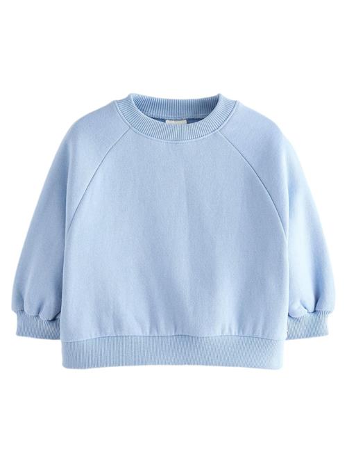 Next Sweatshirt  blå