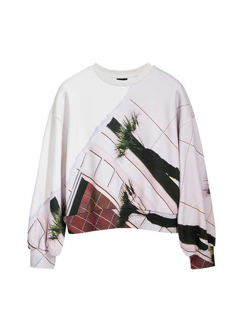 Desigual Sweatshirt  blandingsfarvet