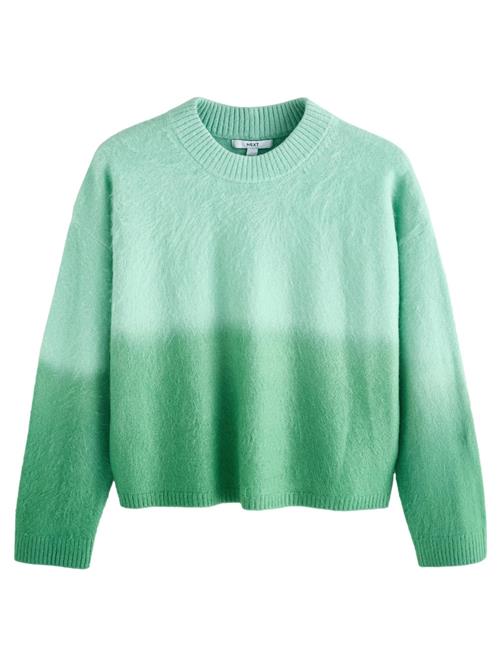 Next Pullover  grøn / mint