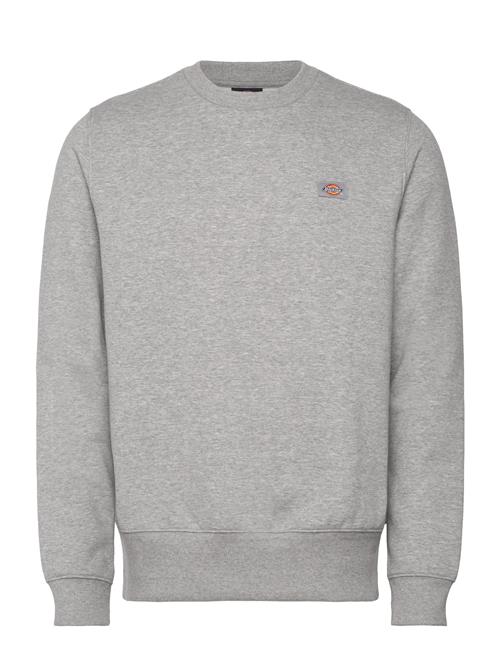 M Oakport Sweatshirt Dickies Grey