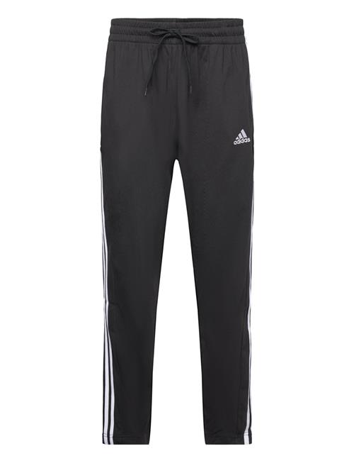 Se M 3S Sj To Pt Adidas Sportswear Black ved Booztlet