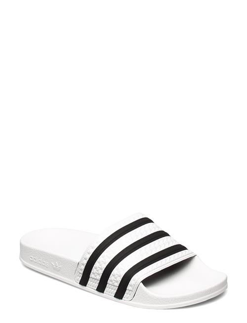 Se Adilette Adidas Originals White ved Booztlet