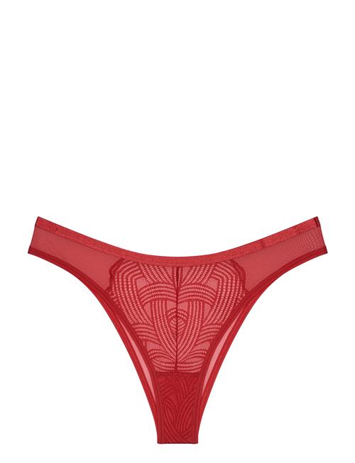 Delightful Spotlight Brazilian Triumph Red