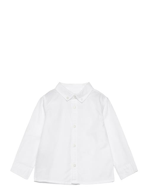 Oxford Cotton Shirt Mango White