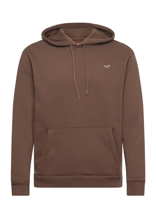 Hco. Guys Sweatshirts Hollister Brown