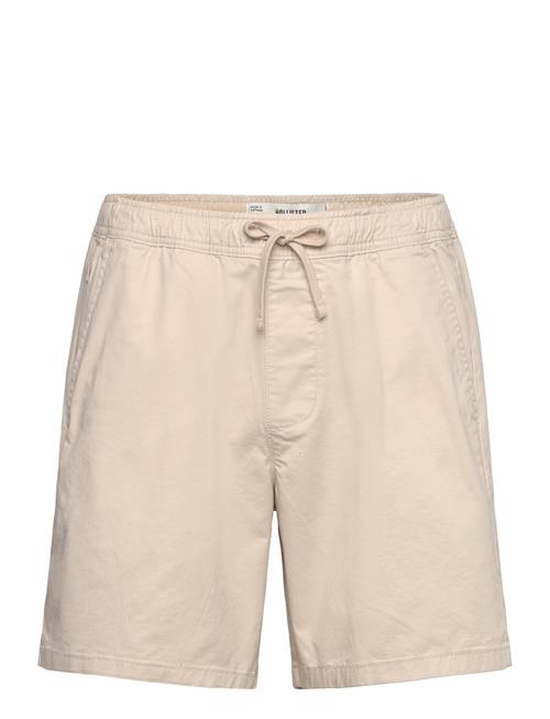 Hco. Guys Shorts Hollister Cream