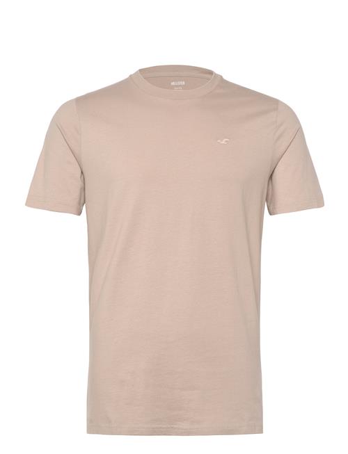 Hco. Guys Knits Hollister Beige