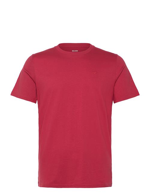 Hco. Guys Knits Hollister Red