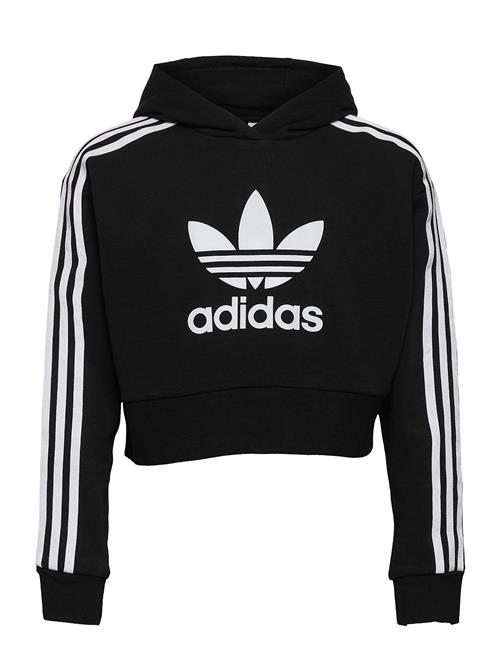 Adicolor Cropped Hoodie Adidas Originals Black