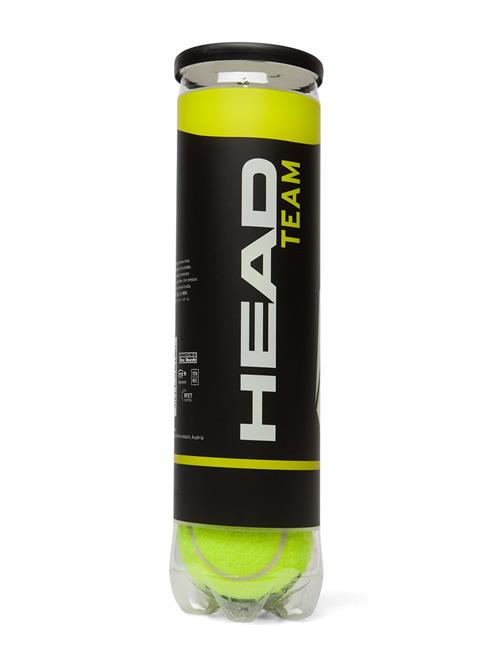 Head Team Carton Box – 36 X 4 Tennis Balls Head Green