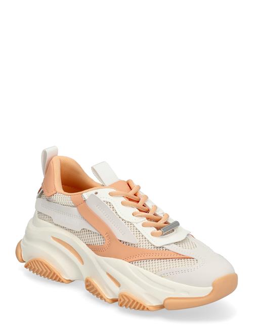 Possession-E Sneaker Steve Madden Orange