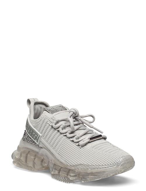 Maxilla-R Sneaker Steve Madden Grey