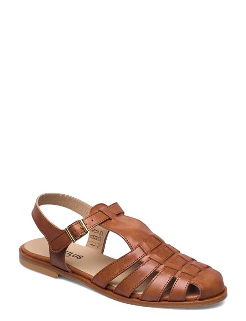 Sandals - Flat - Closed Toe - Op ANGULUS Brown