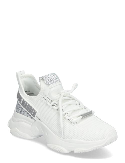 Maxilla-R-E Sneaker Steve Madden White