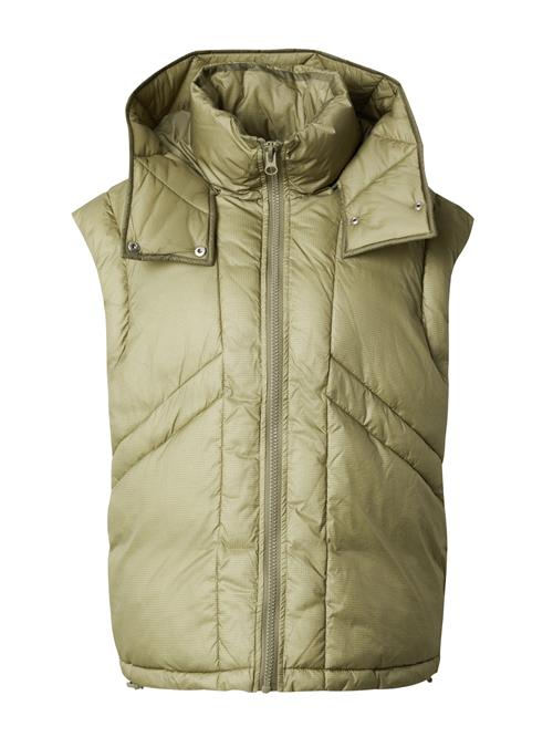 TOPSHOP Vest  grøn