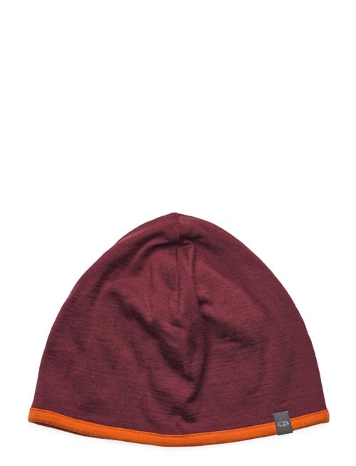 Unisex Merino 200 Oasis Reversible Beanie Icebreaker Burgundy