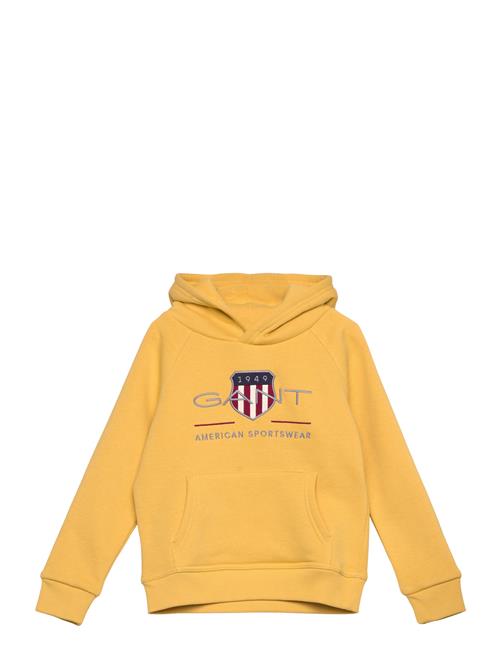 Archive Shield Raglan Hoodie GANT Yellow