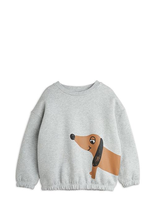 Dog Sp Sweatshirt Mini Rodini Grey