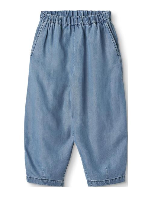 Hurlum Pant Fliink Blue