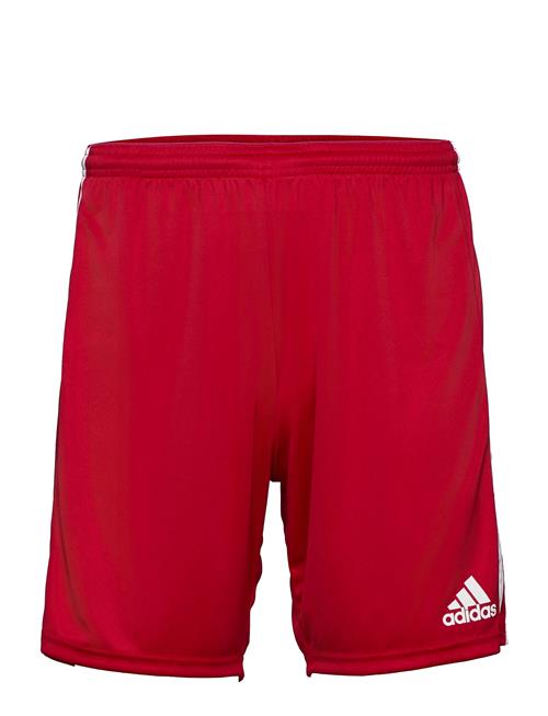 Squadra 21 Short Adidas Performance Red