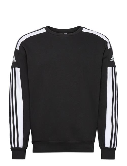 Squadra21 Sweat Top Adidas Performance Black