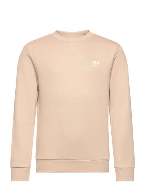 Crew Adidas Originals Beige