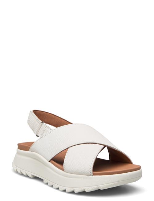 Dashlite Wish D Clarks White