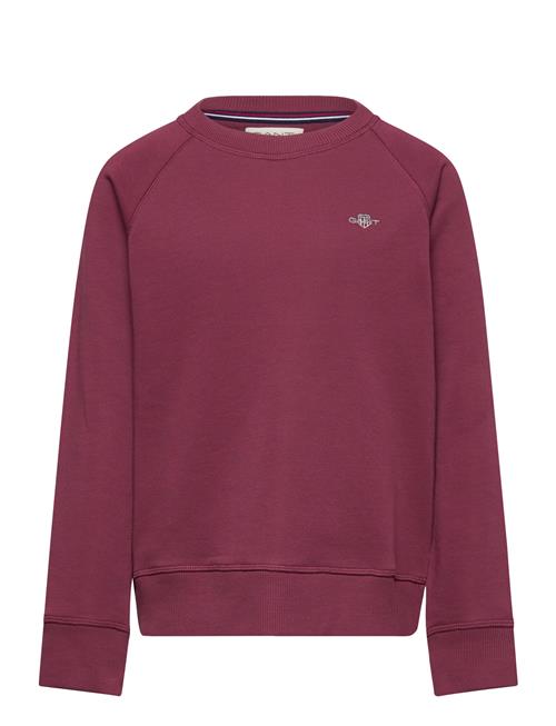 Shield C-Neck GANT Burgundy