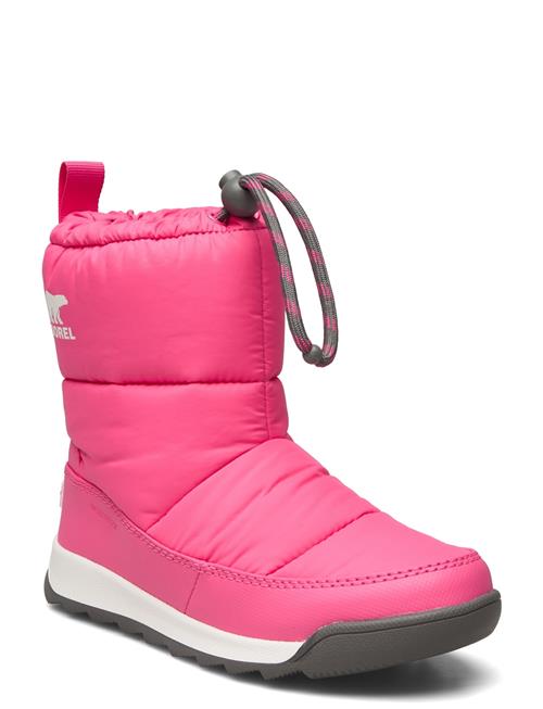 Youth Whitney Ii Plus Puffy Wp Sorel Pink