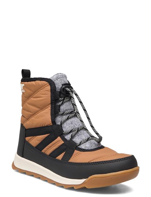 Youth Whitney Ii Plus Lace Wp Sorel Brown